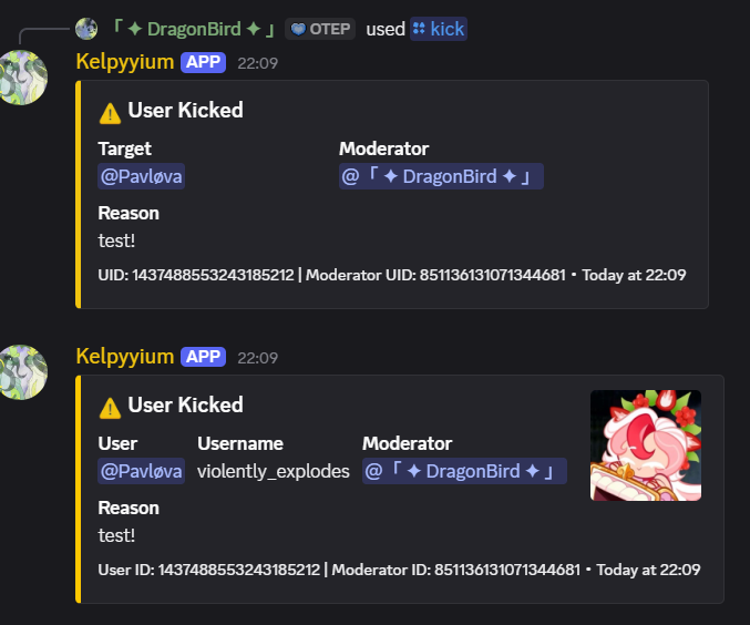 Kick command example
